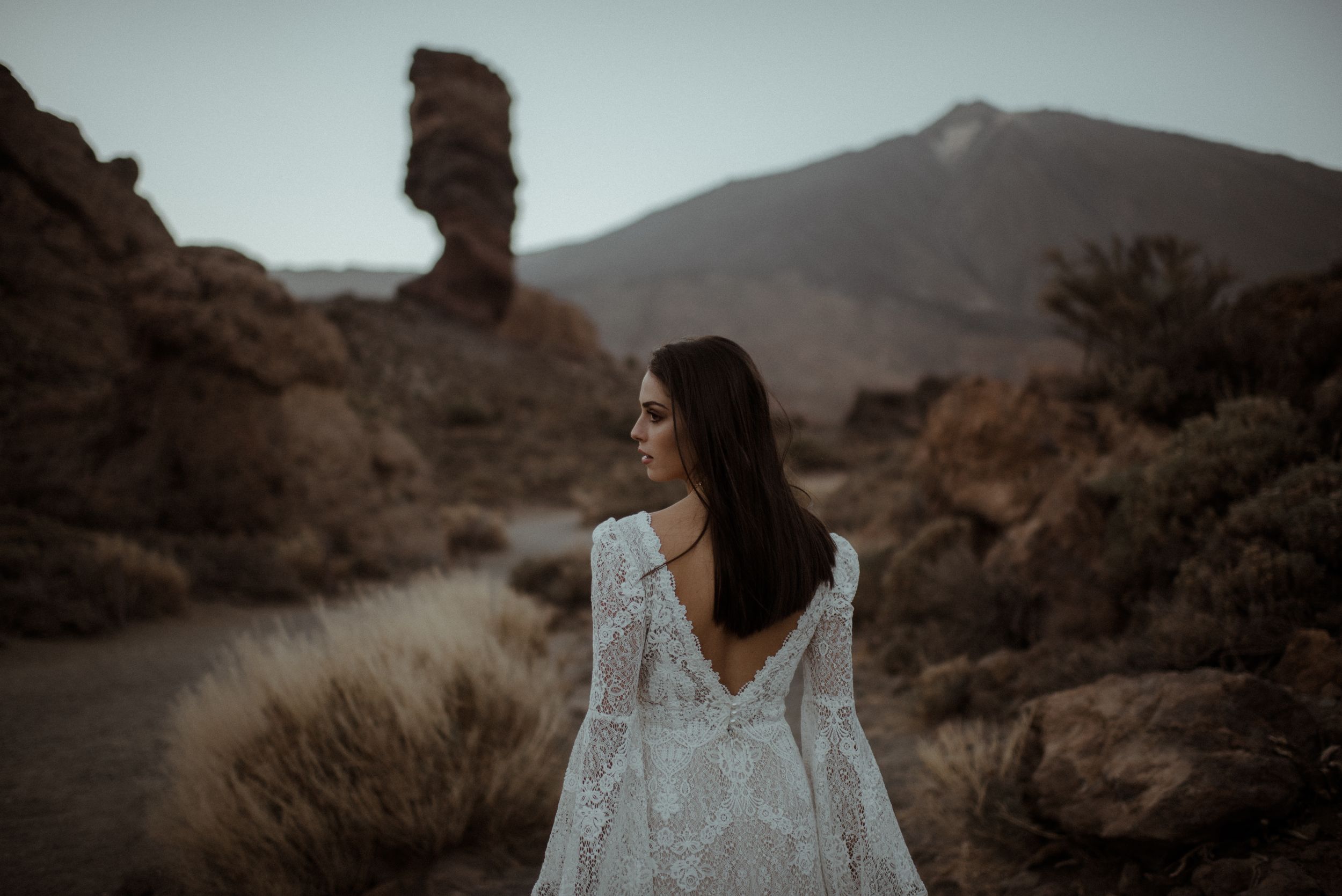 Lace wedding gown with open back framed by desert rock formations and brush.