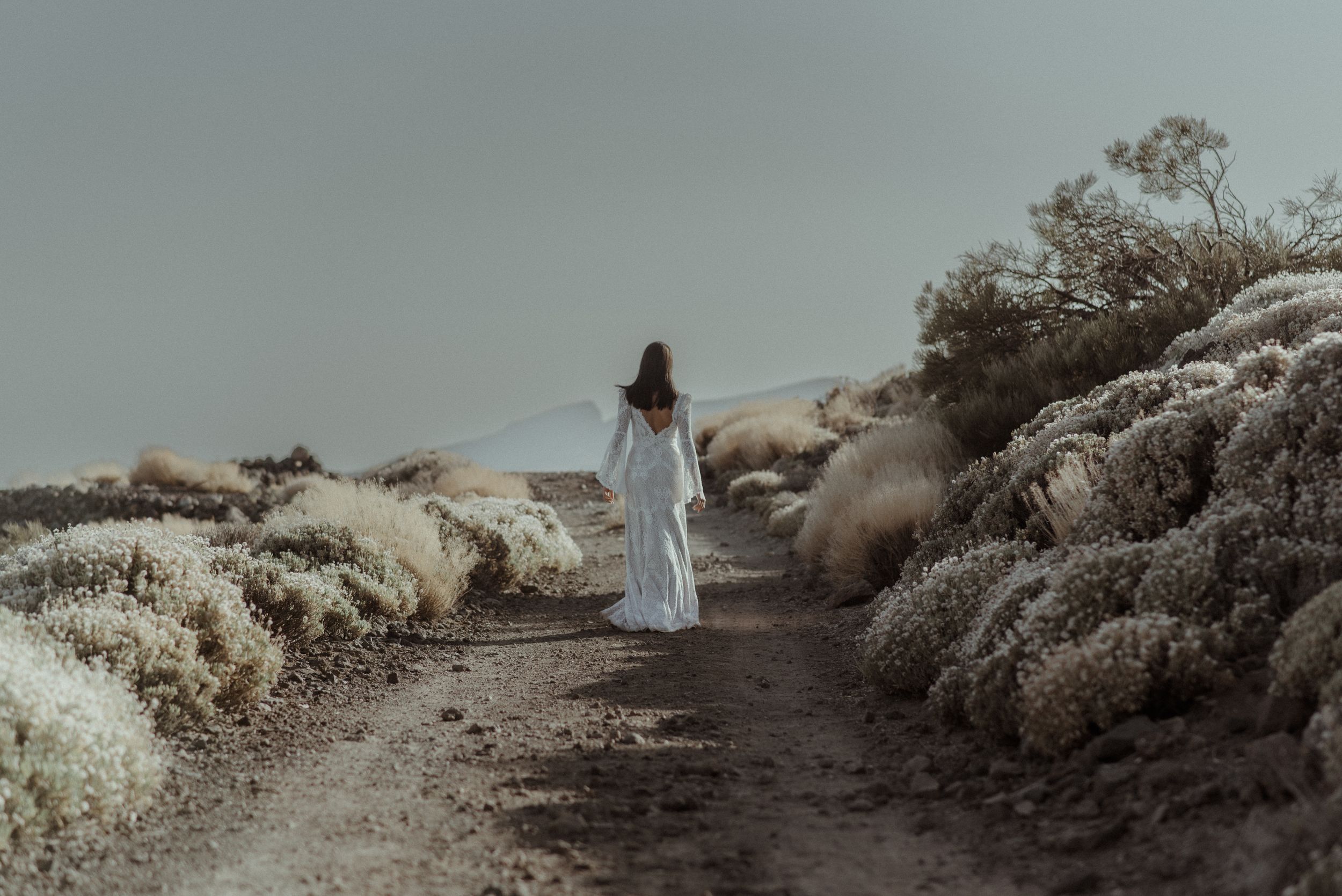 An ethereal scene of someone in white walking along a desert path surrounded by scrub brush.