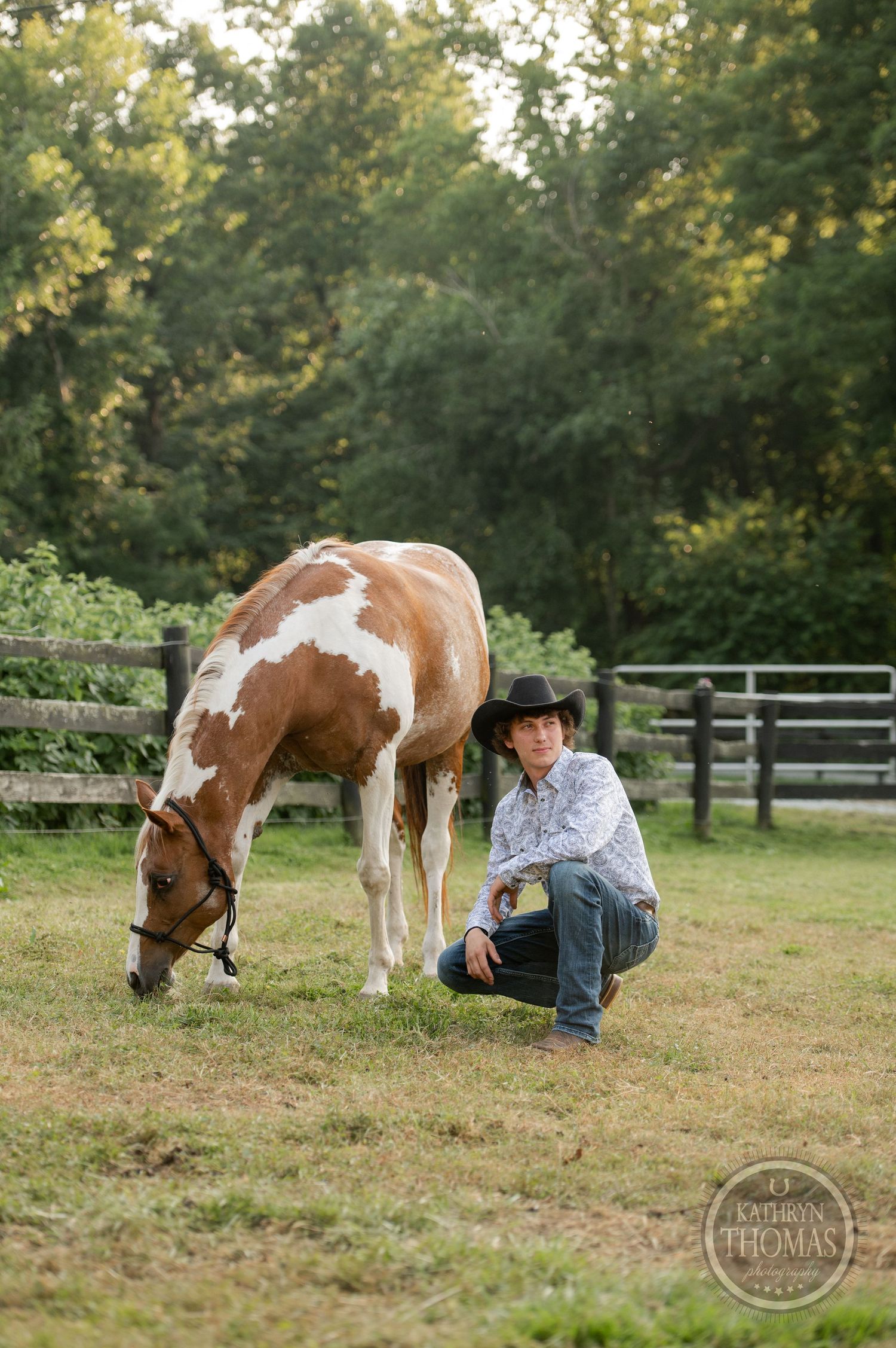 Brown and white paint horse grazing in green pasture with wooden fence in background.