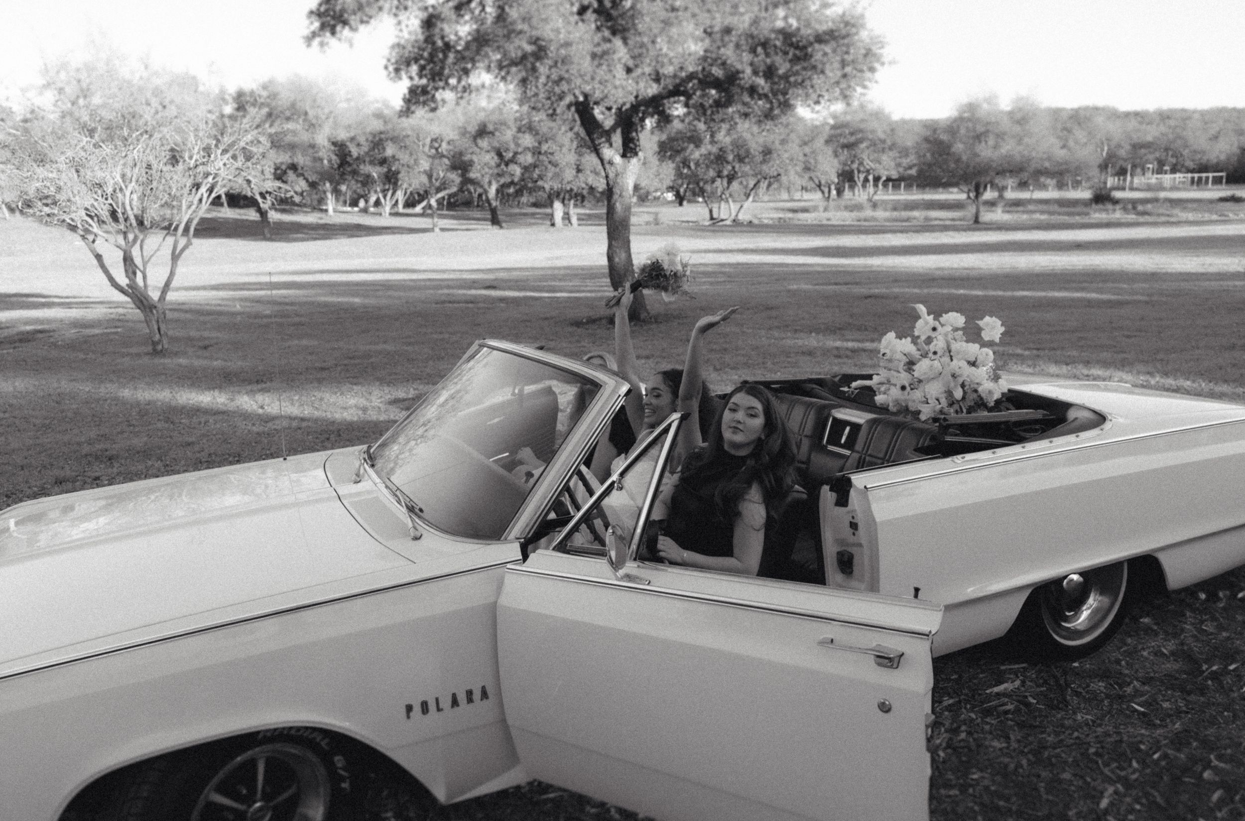 Vintage black and white photograph of a classic Ford Falcon convertible parked in a park setting with trees in background.