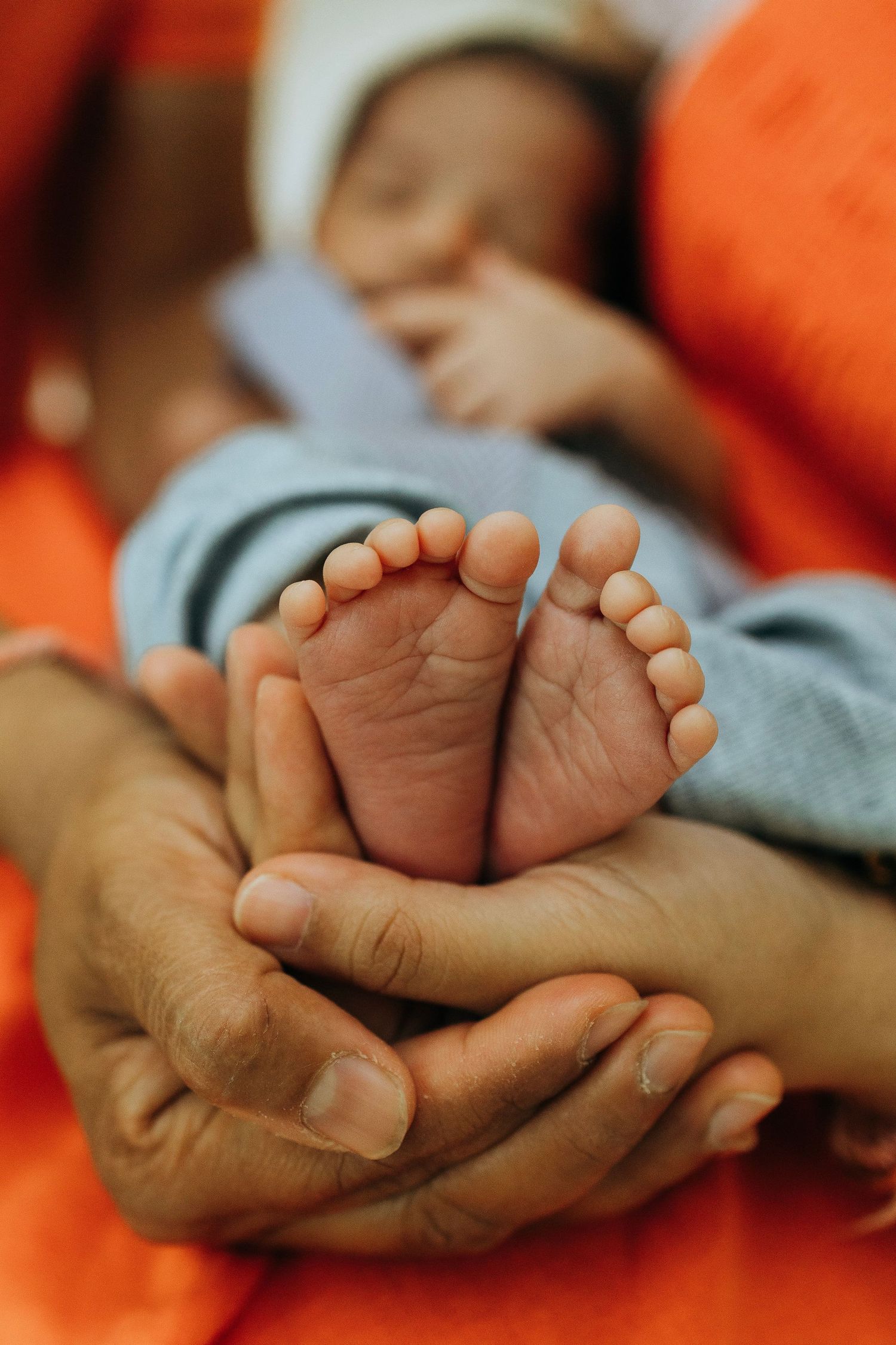 Close-up of tiny baby feet resting in adult hands against orange background.