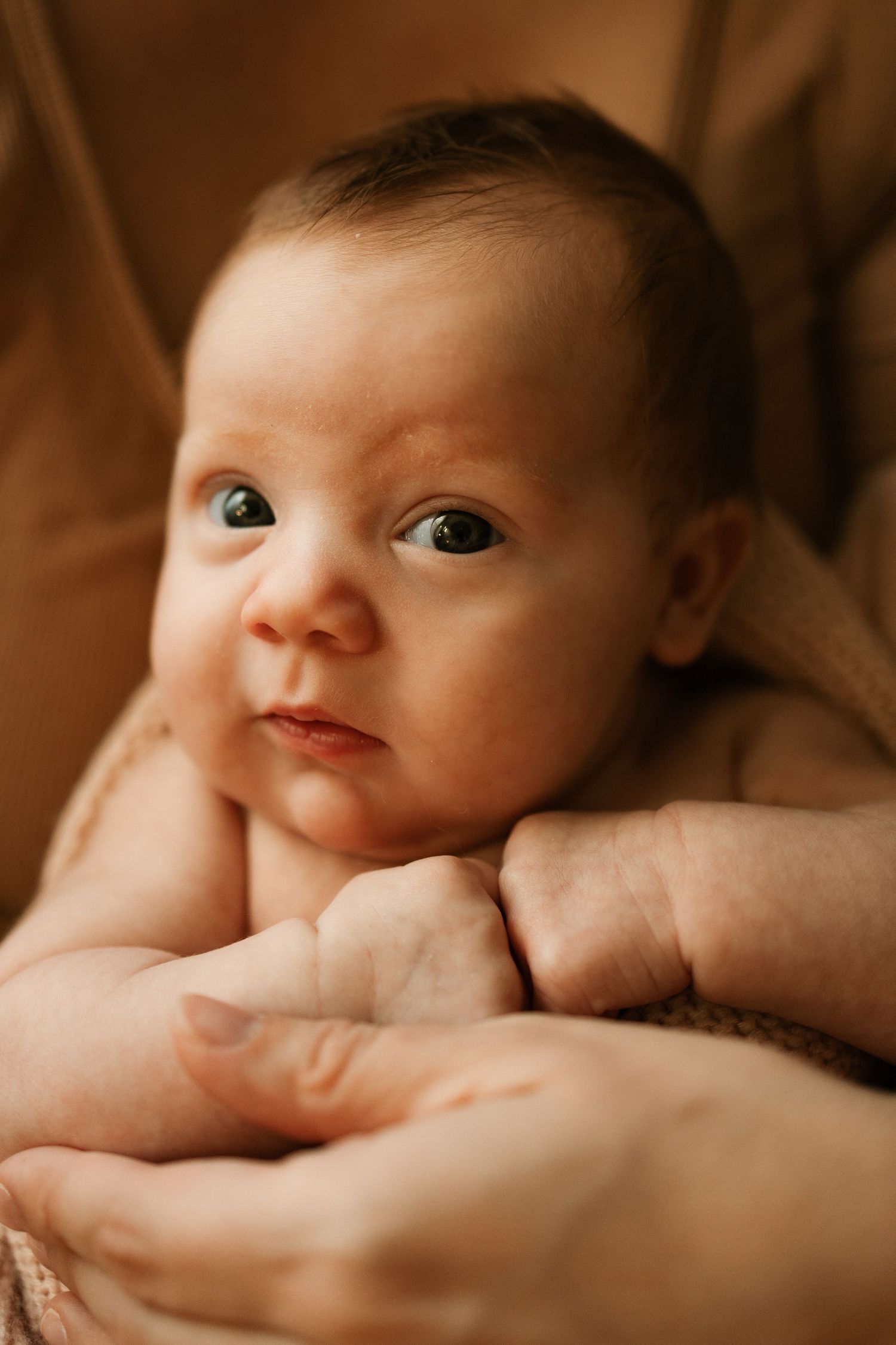 Close up portrait series showing a baby's face in warm sepia tones against soft brown fabric.