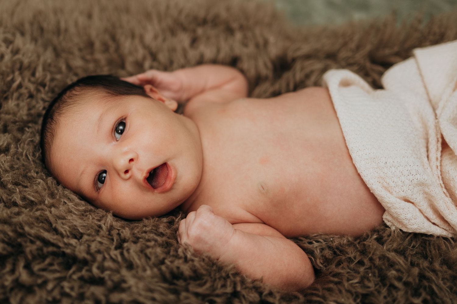 Tender newborn photography session showing baby in natural light against neutral backgrounds.