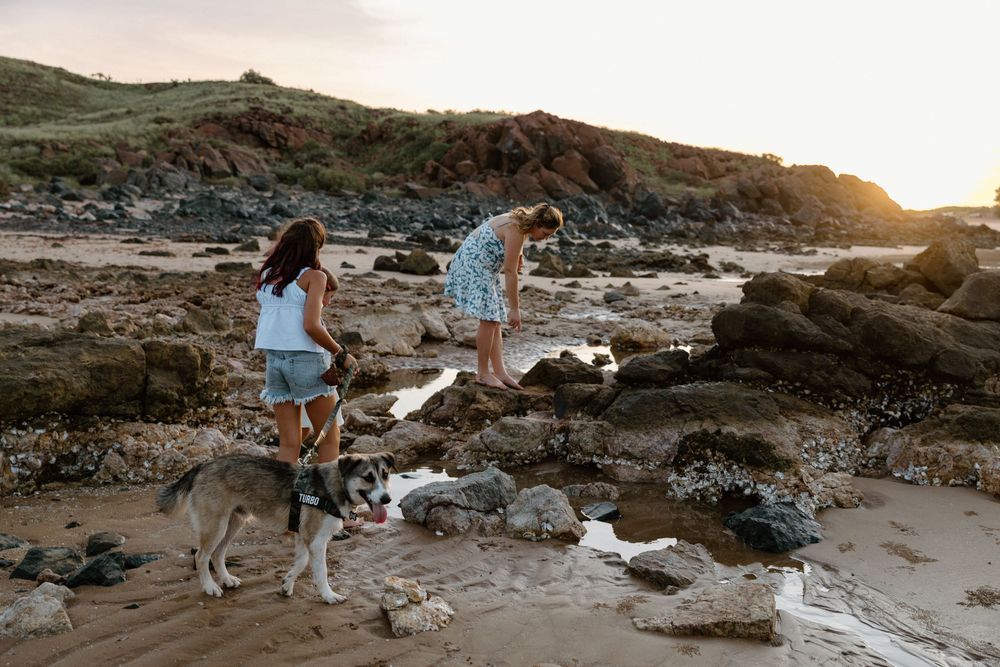 Two people walking their husky dog along a rocky beach at sunset with mountains in the background.