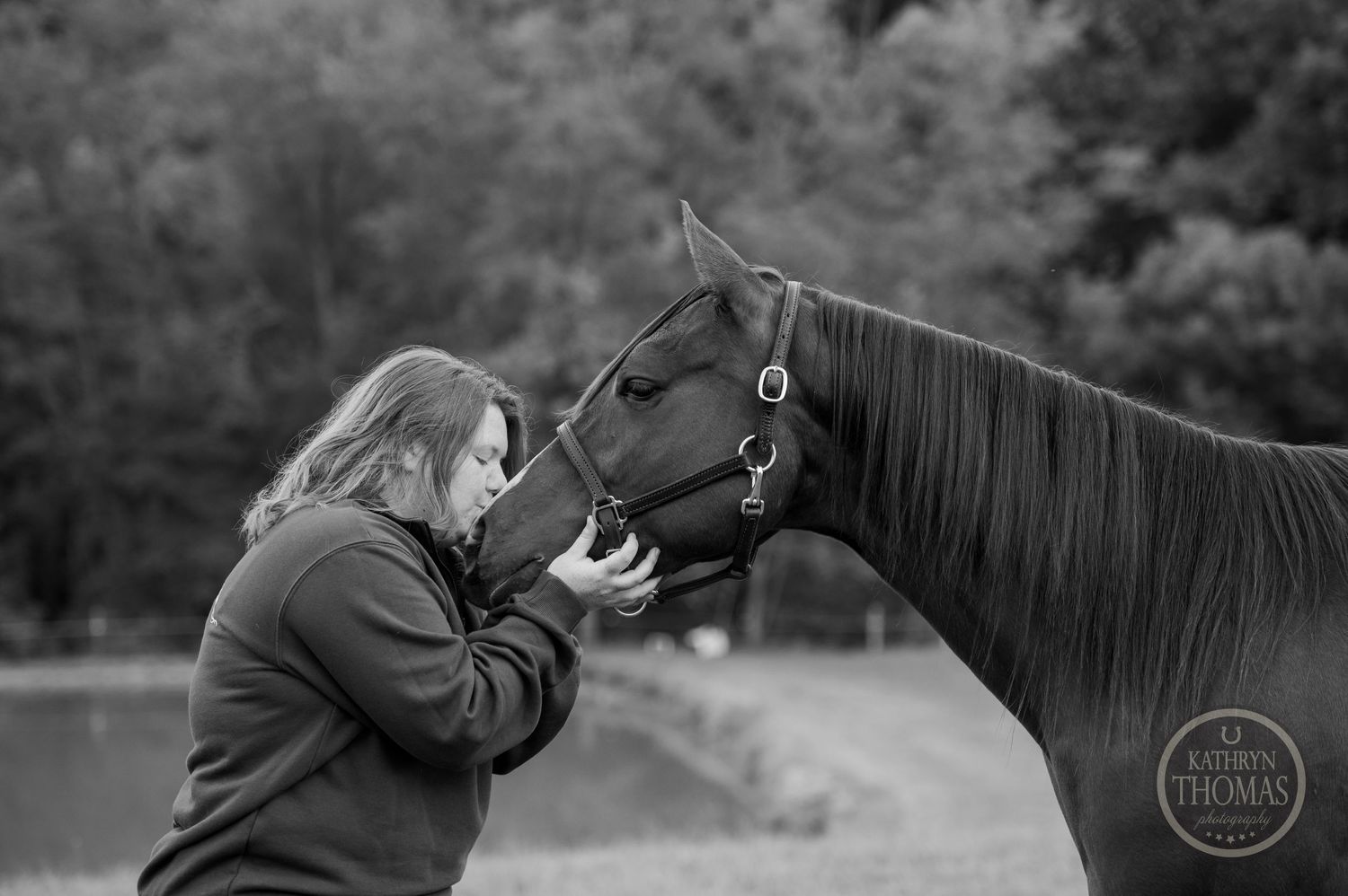 A tender moment between a horse and someone in a dark jacket.