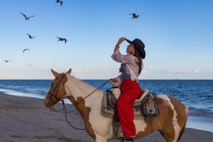 Person riding white horse along beach while seabirds fly overhead.