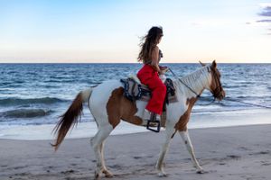 A rider in a red dress enjoys a horseback ride along a pristine beach shoreline.