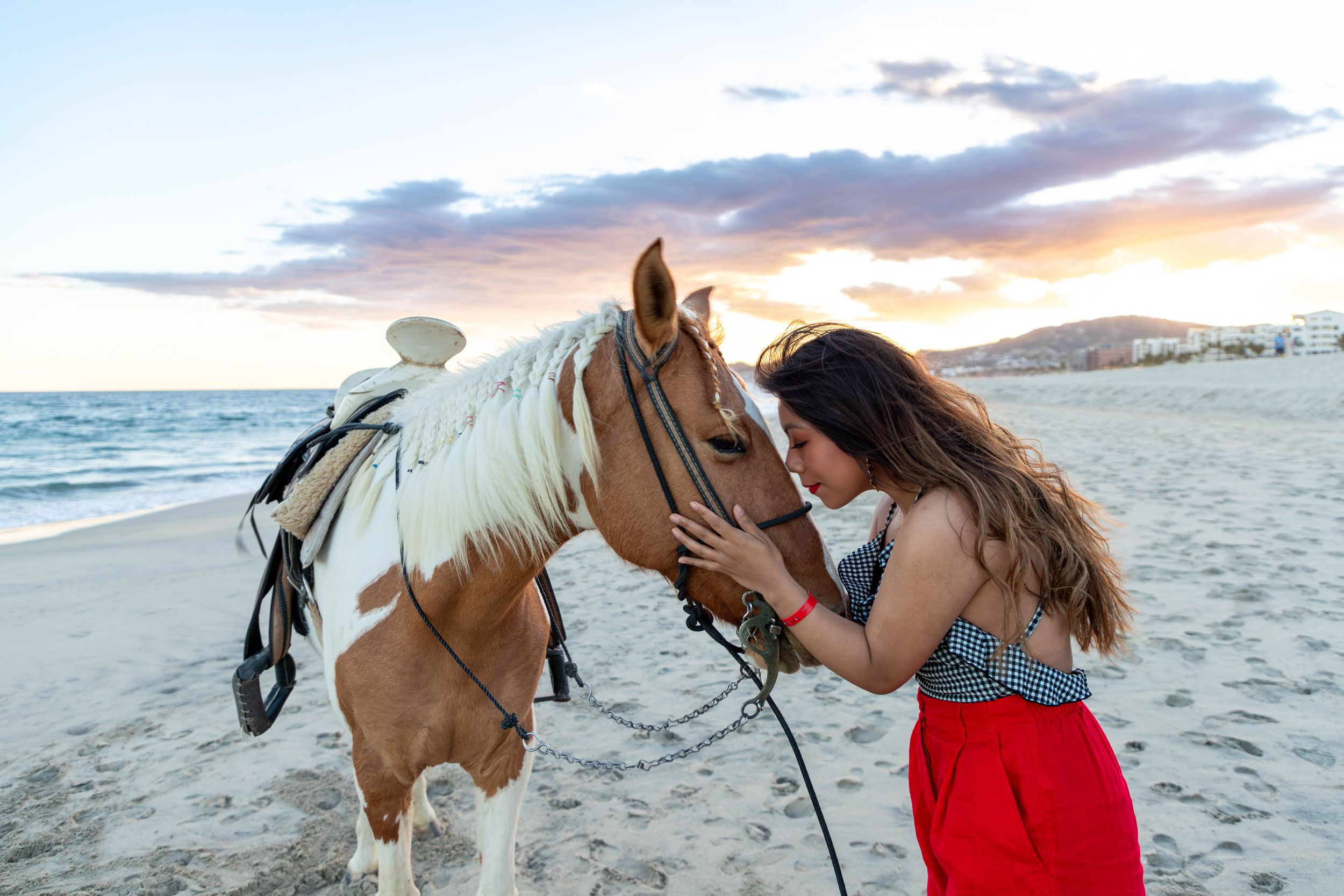 A brown and white horse receives affection on a scenic beach at sunset.