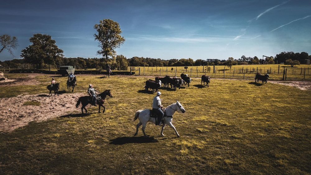 People riding horses in an open field during daytime.