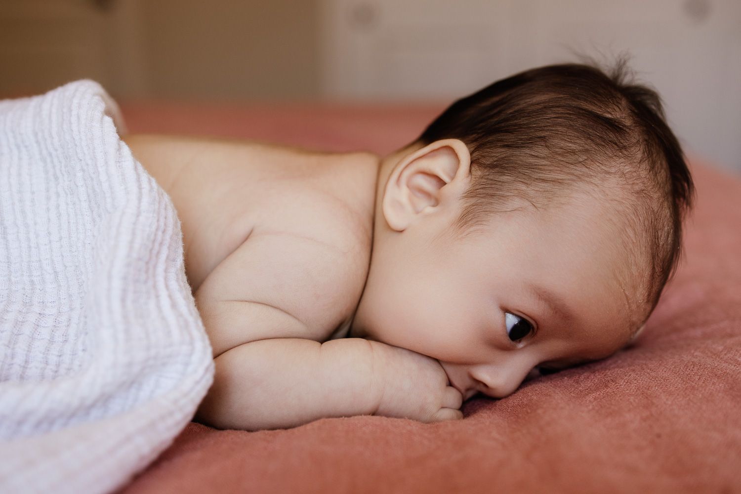 A new baby does tummy time for his newborn photoshoot