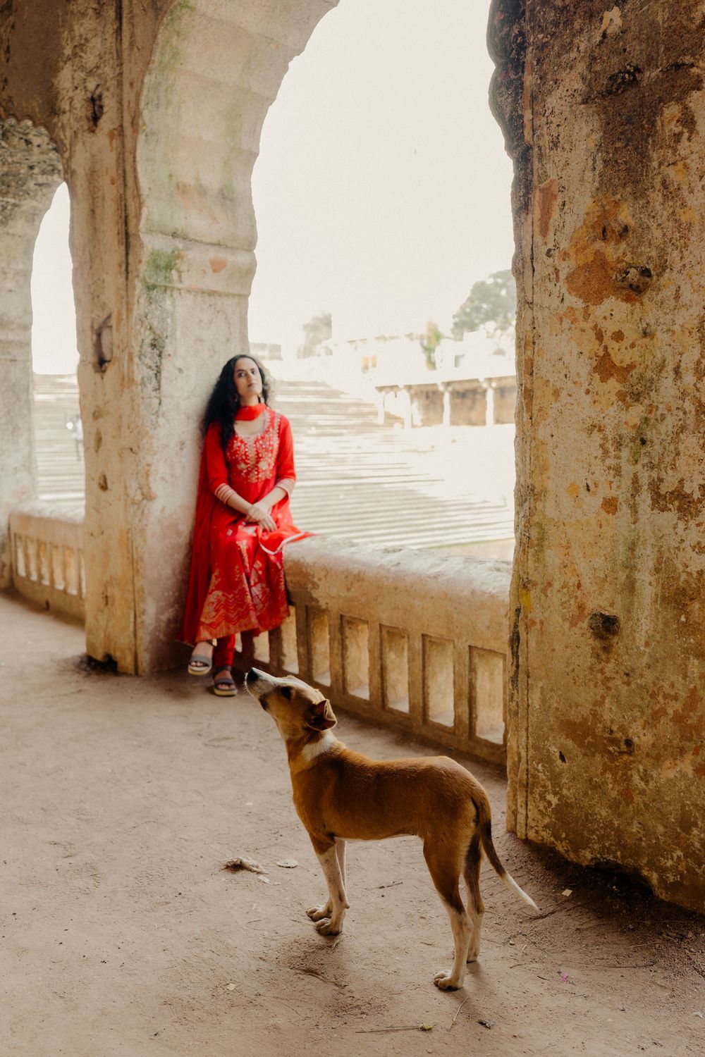 A sequence showing interactions with a friendly dog in an ancient stone colonnade.