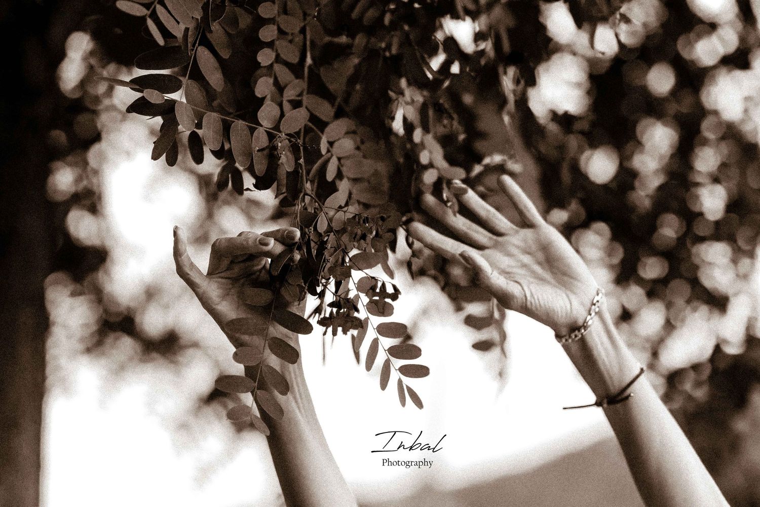 An image in brown tones of hands touching leaves for a personal branding photoshoot."