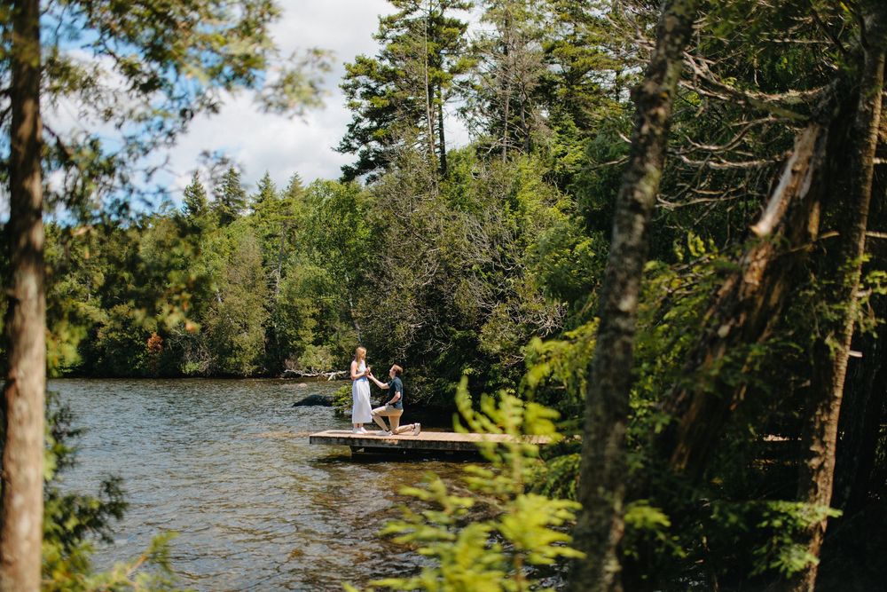 A scenic fishing dock on a tranquil lake surrounded by lush green trees on a sunny summer day.