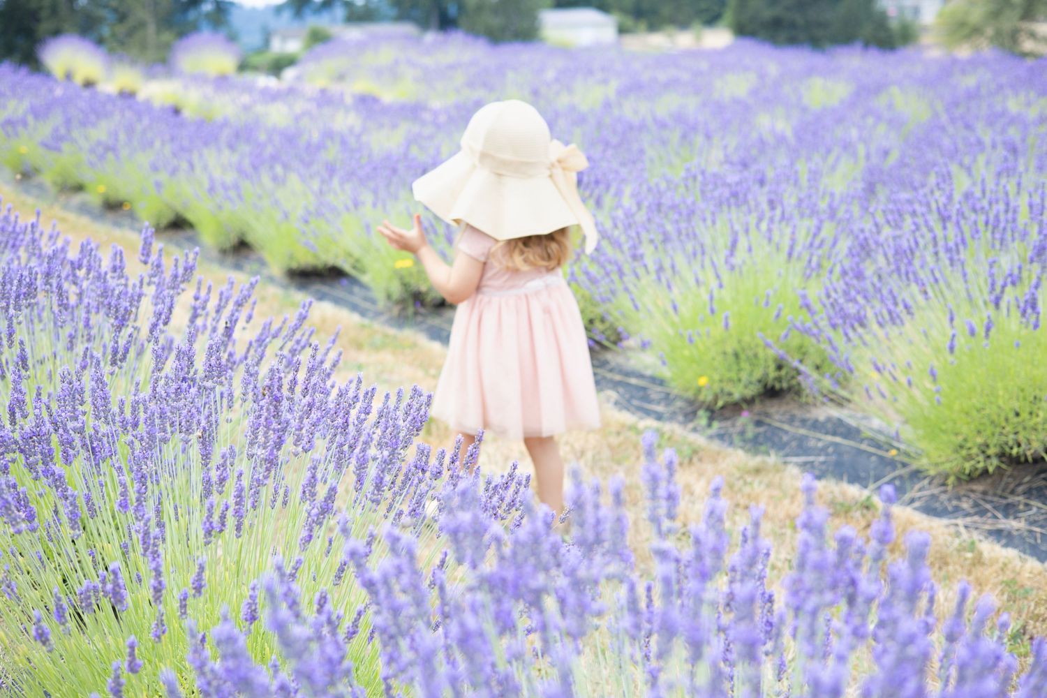 Tacoma WA artist & family photographer: maternity, couples & lifestyle photography. Capturing natural moments and PNW adventure, Washington