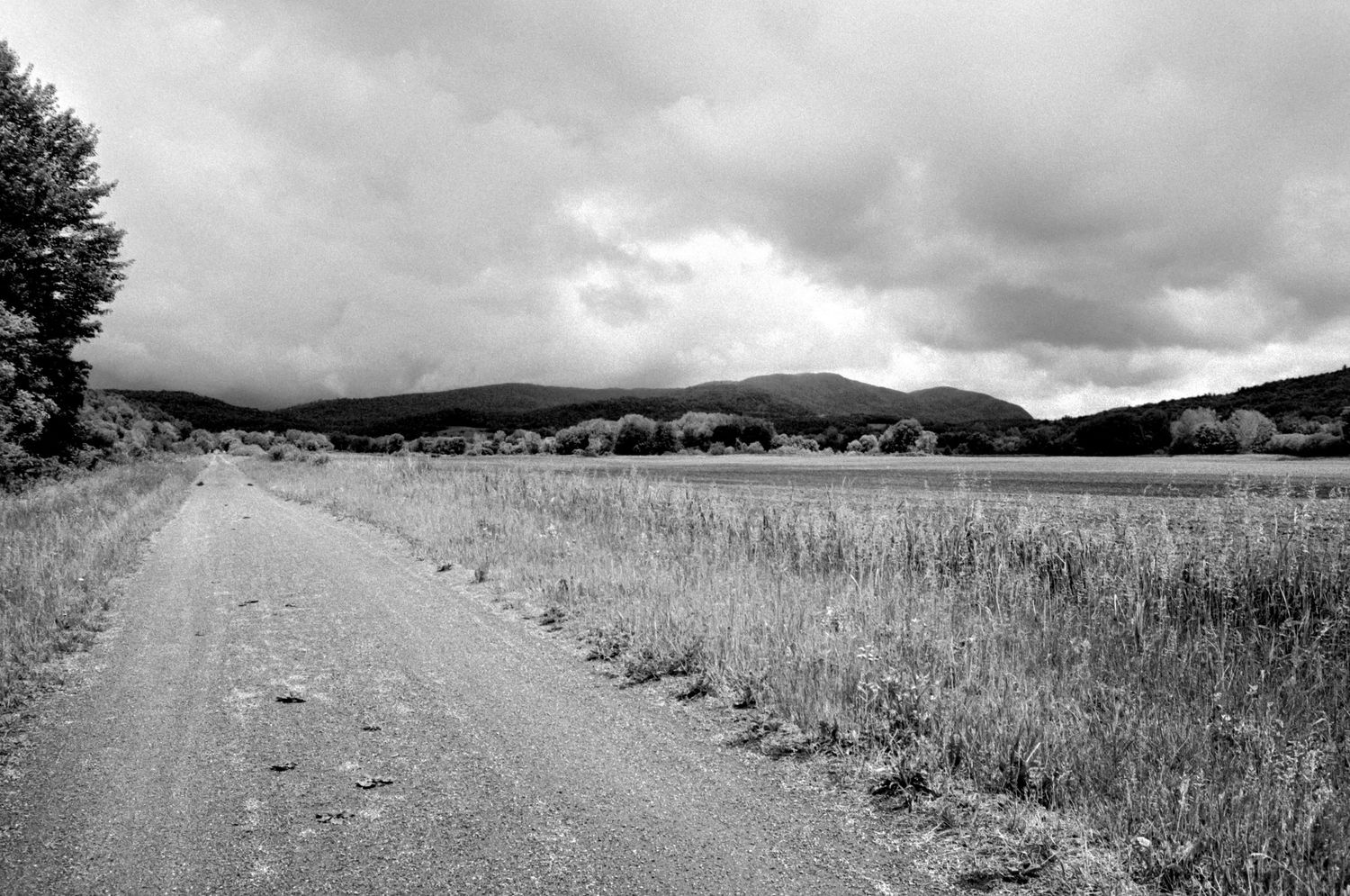 Road