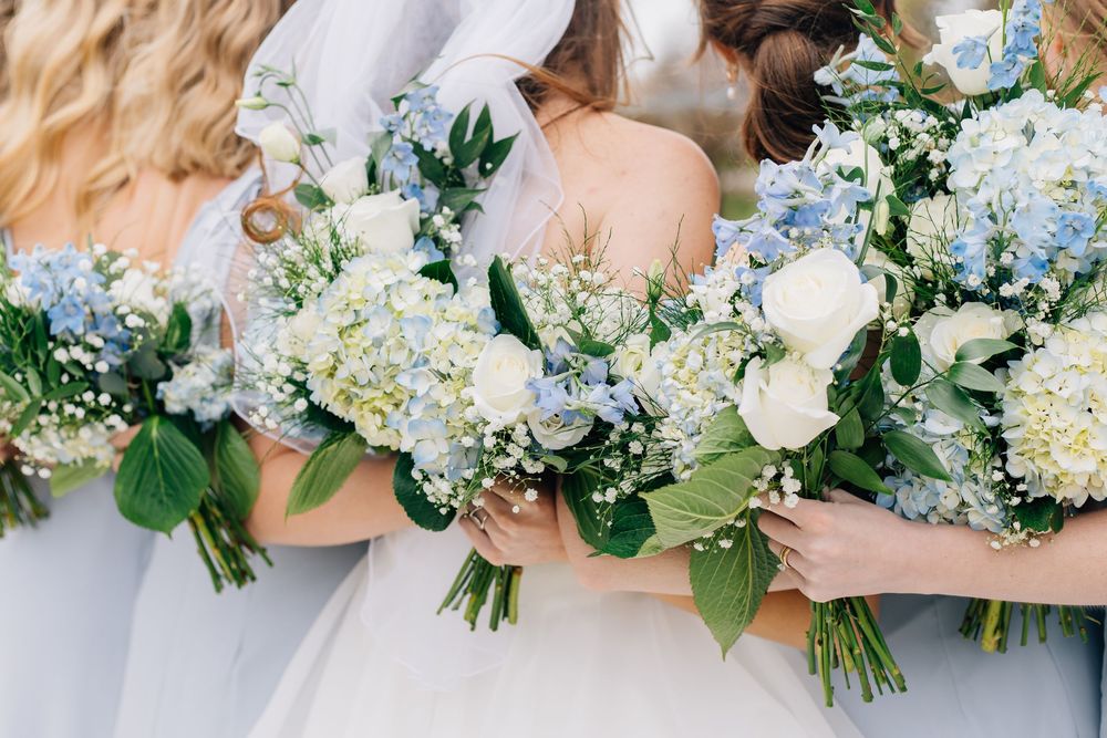 Wedding bouquets featuring white hydrangeas and blue delphinium flowers held against light colored dresses.