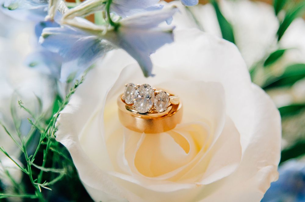 Wedding ring set photographed on a white rose in soft focus.