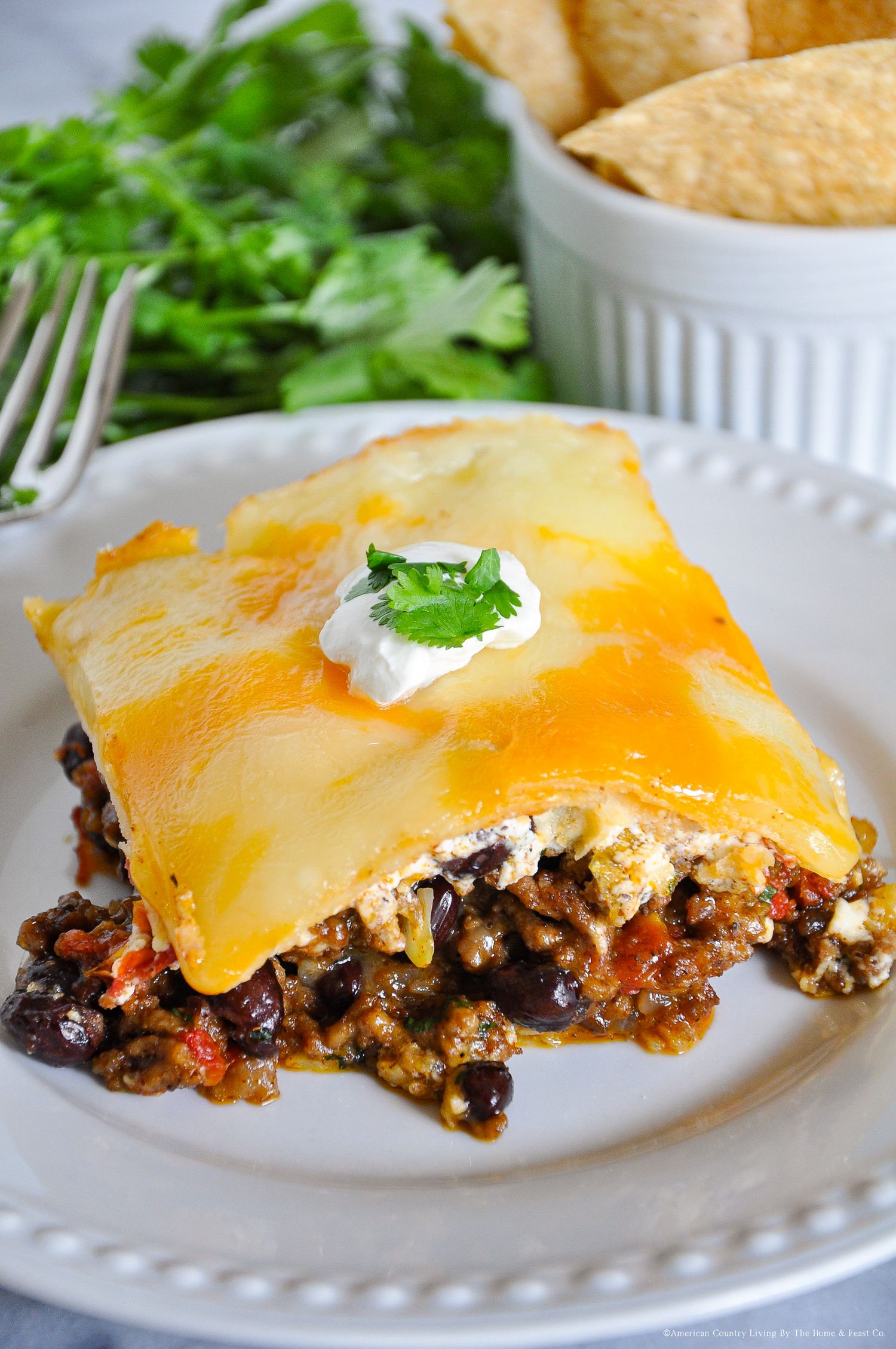 Mexican casserole topped with melted cheese and garnished with fresh cilantro on a white plate.