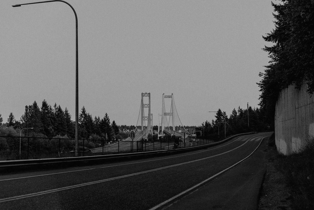 Black and white view of empty road leading to the Tacoma Narrows Bridge with tall evergreen trees in the foreground.
