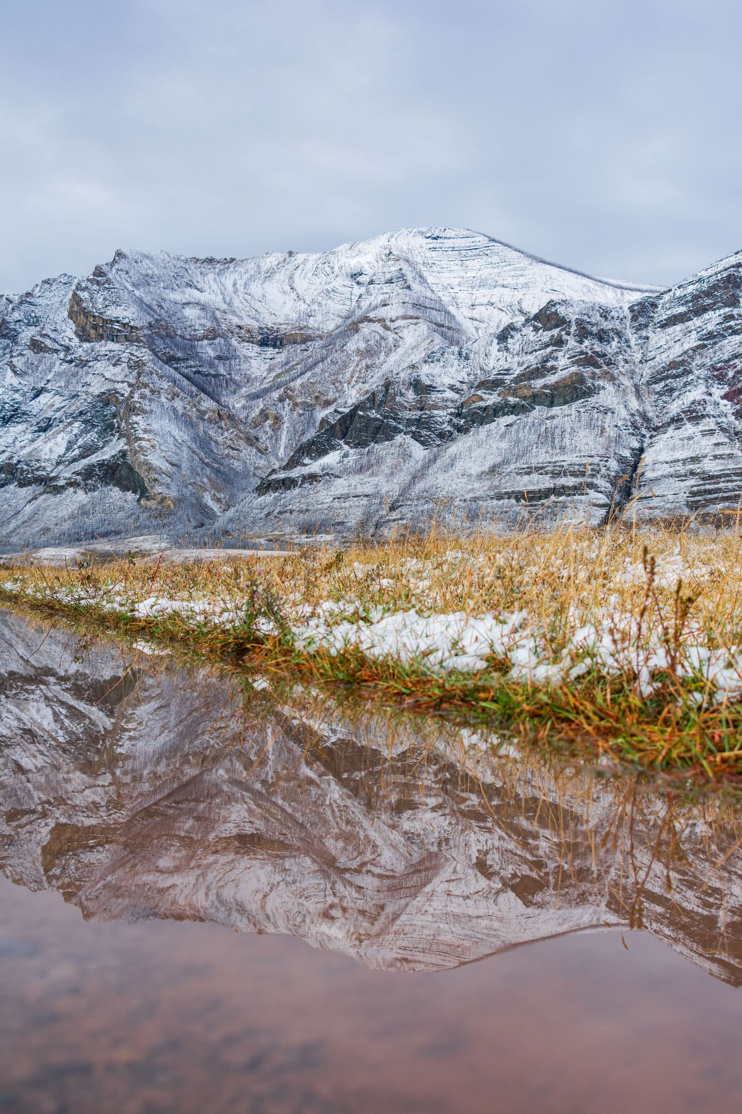 Snow-capped mountains reflect in still water with golden grass in the foreground.