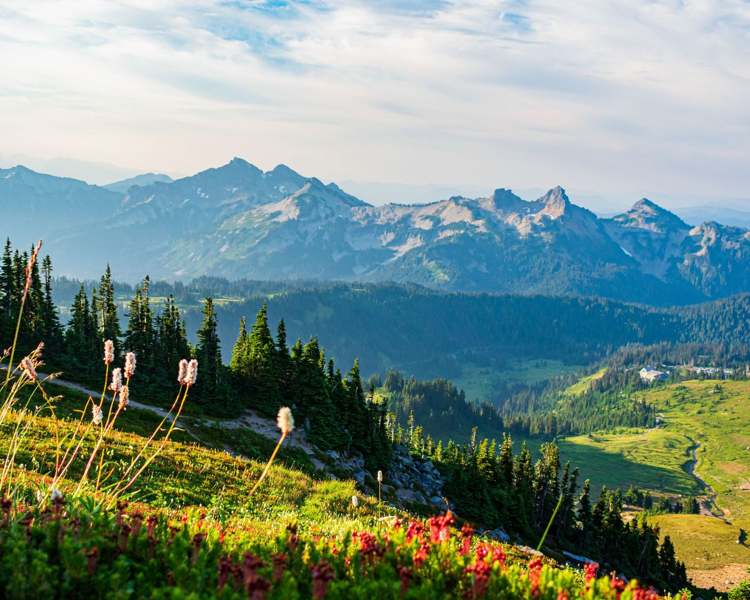 Colorful wildflowers bloom along a mountain trail with snow-capped peaks in the distance under blue skies.