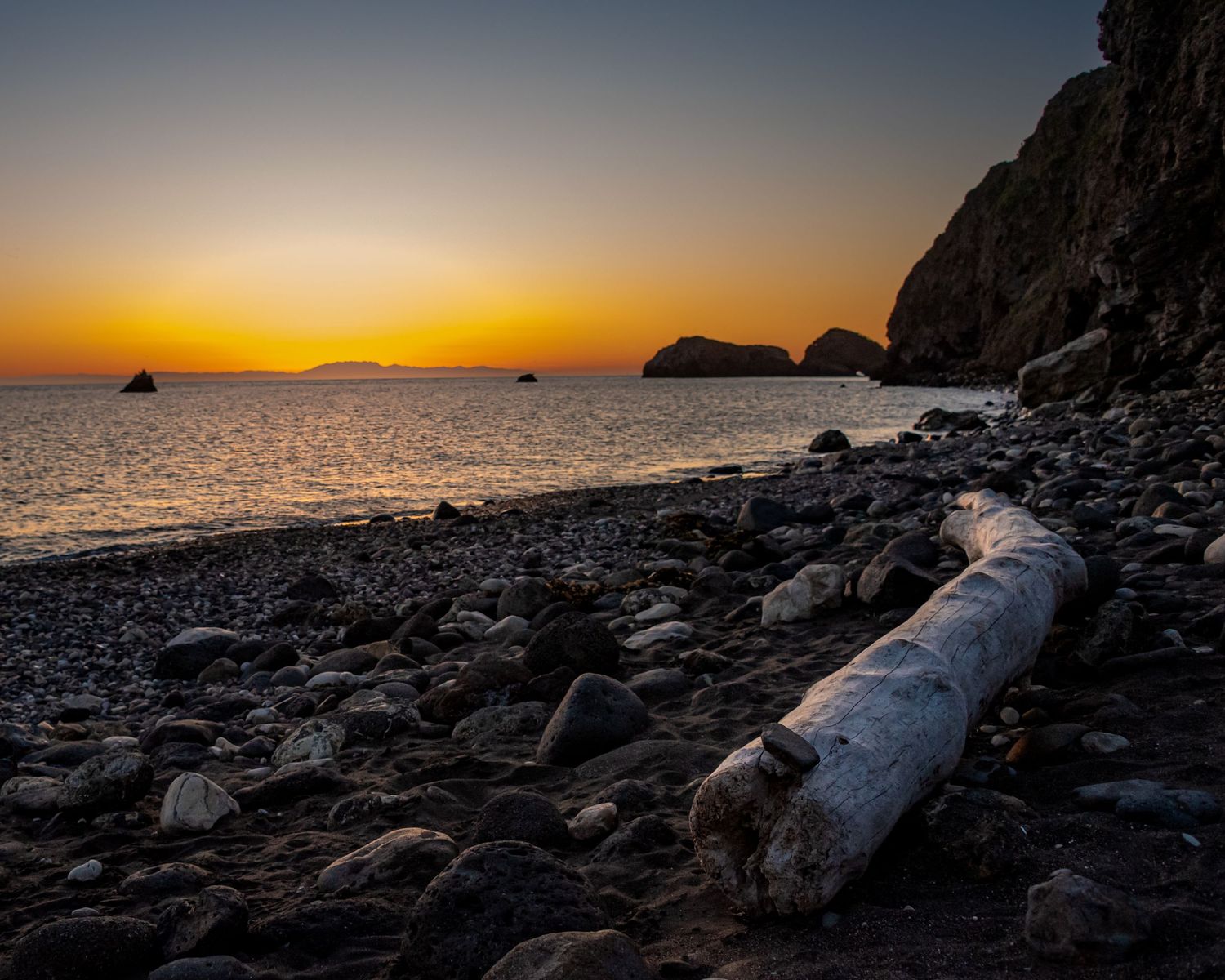 Dramatic coastal sunset with driftwood on rocky beach and silhouetted cliffs.