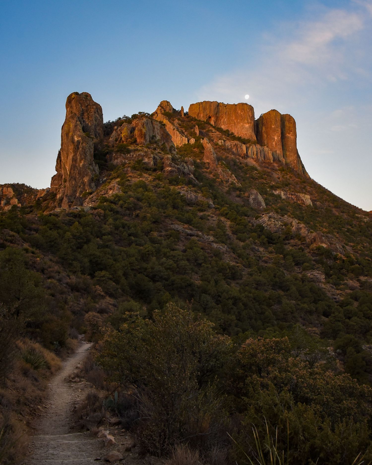 Rugged desert mountain peaks glowing in warm sunlight with hiking trail winding below.