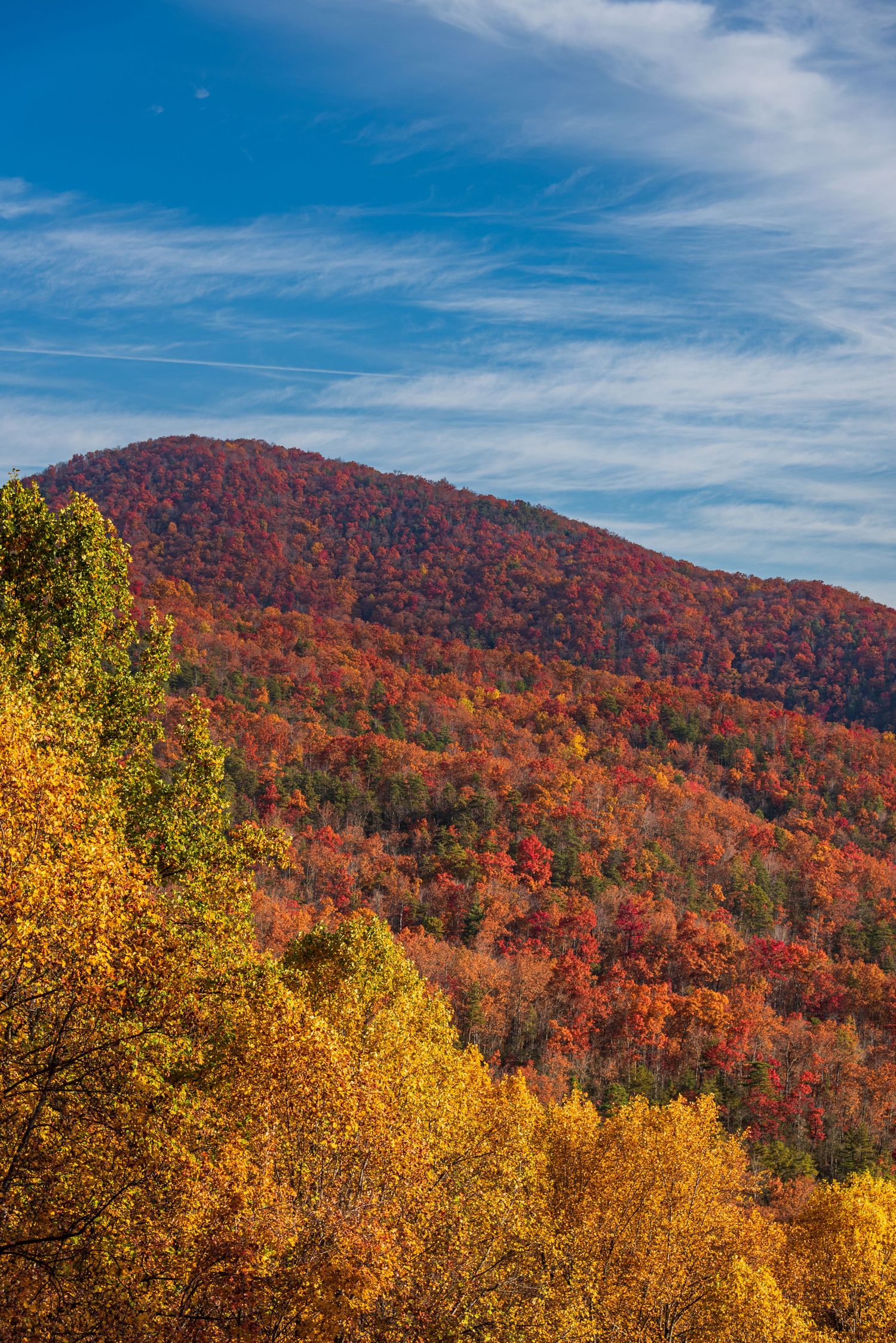 Autumn mountain landscape with vibrant red and orange foliage covering the hillside under blue skies.