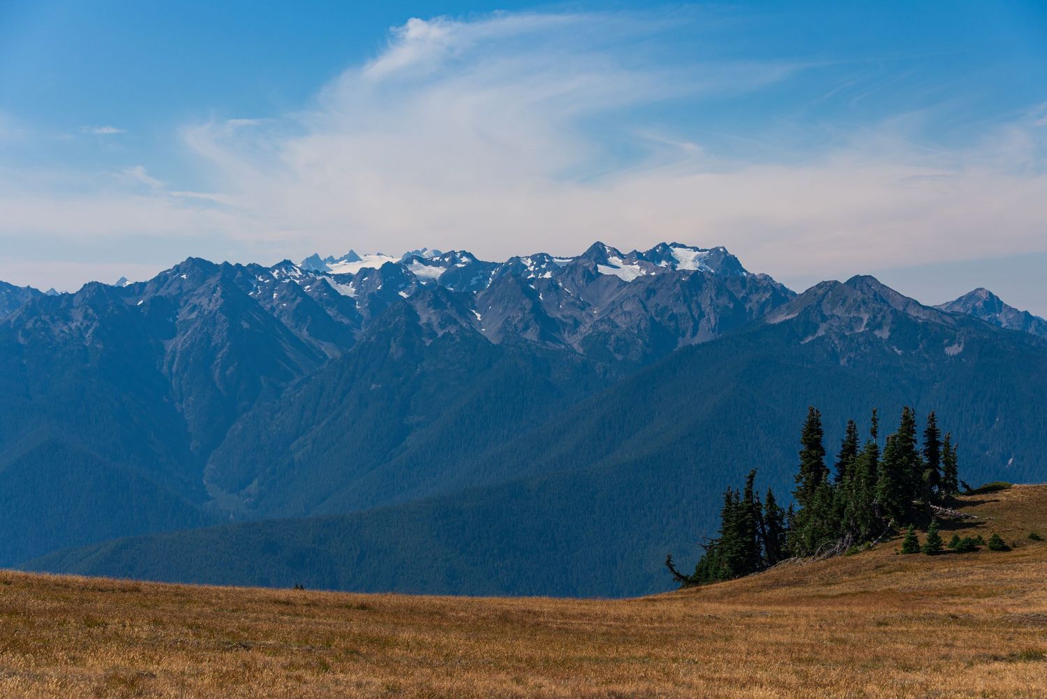 Snow-capped mountain peaks rise majestically against a blue sky with evergreen trees in the foreground.