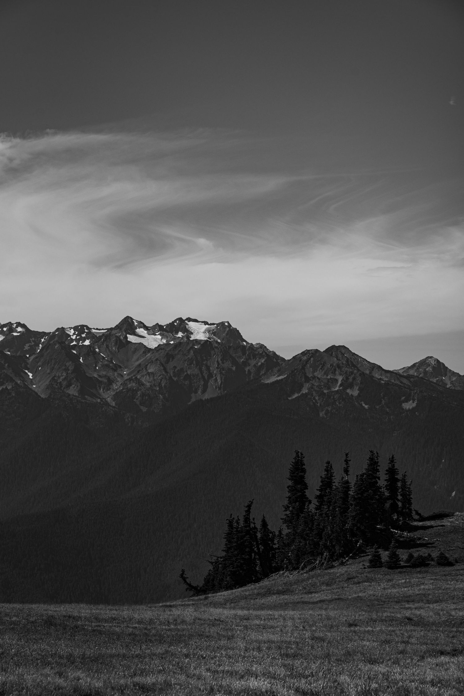 Black and white mountain landscape with silhouetted pine trees on a hillside.