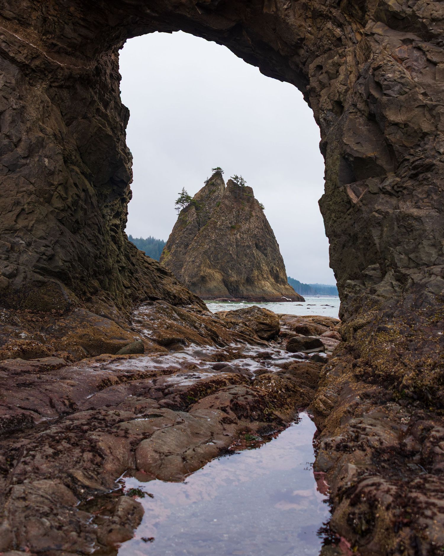 A dramatic rock arch frames a sea stack and ocean view with reflective tide pools in the foreground.
