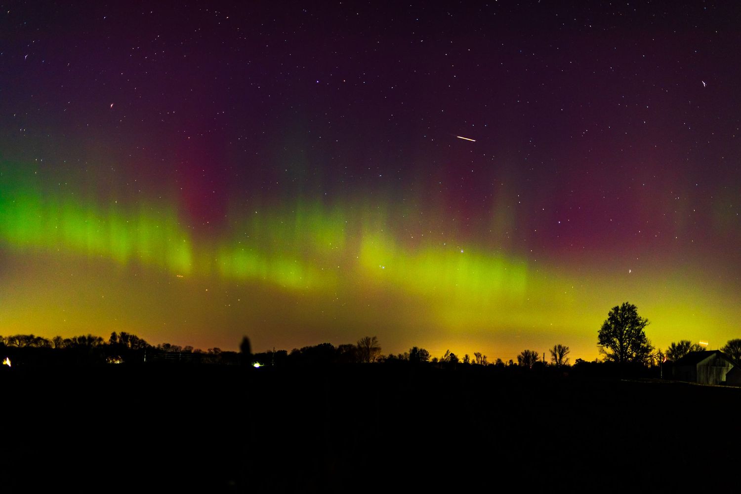 Vibrant green and purple aurora borealis dances across the night sky over a dark treeline.