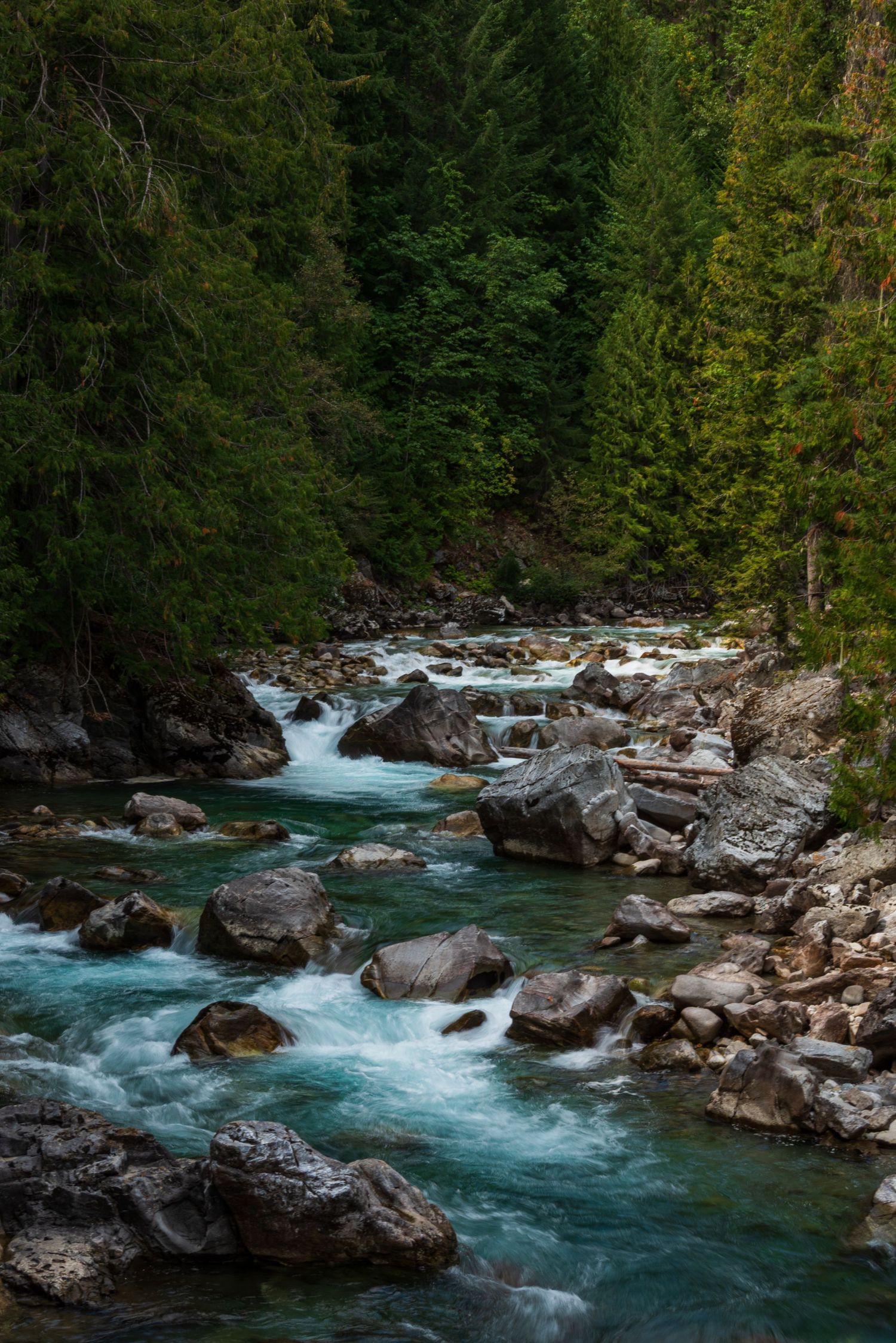 Rushing turquoise river water flowing through rocky gorge in dense forest landscape.