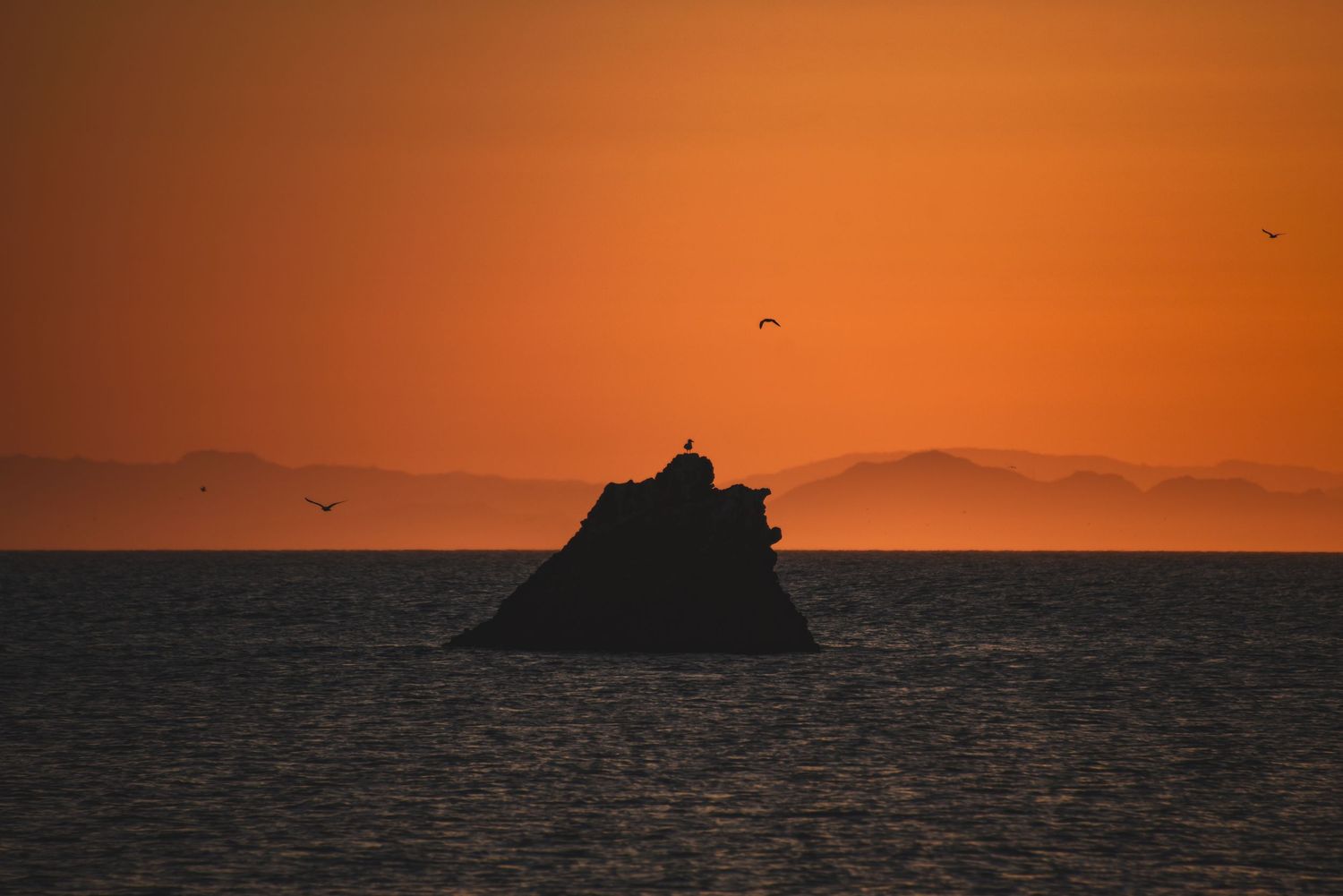 Orange sunset silhouettes rocky islands and seabirds against a darkening ocean horizon.