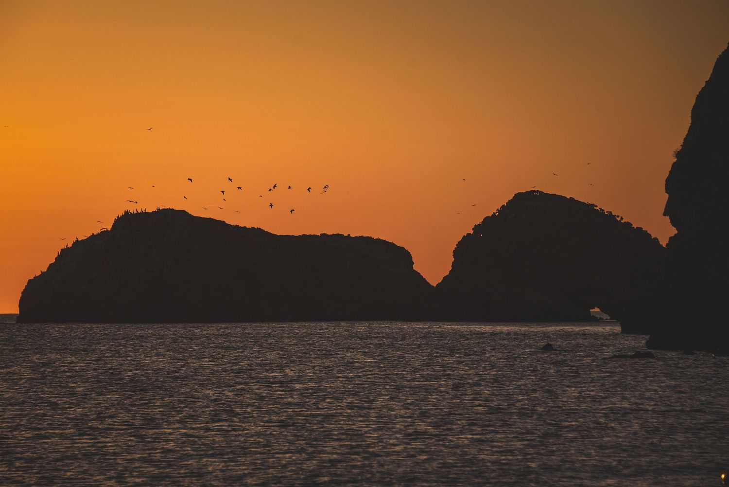 Silhouetted coastal rock formations at sunset with birds flying across an orange sky.