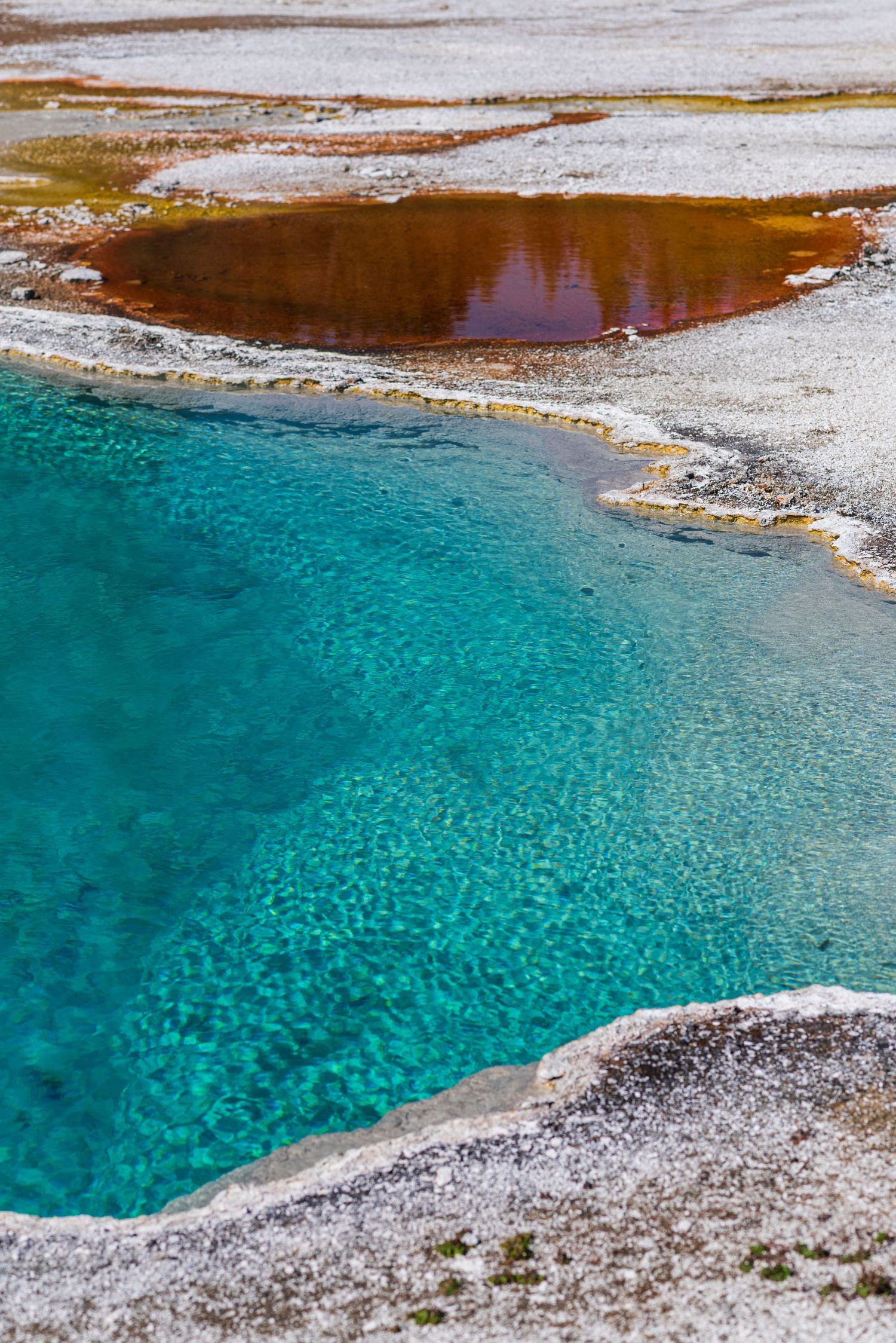 Vibrant turquoise hot spring pool with white mineral deposits at Yellowstone National Park.