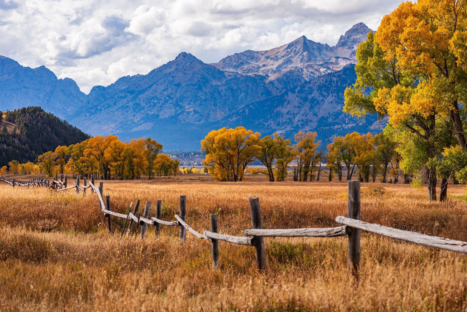 Scenic autumn landscape with golden trees and snow-capped mountains in Grand Teton National Park.