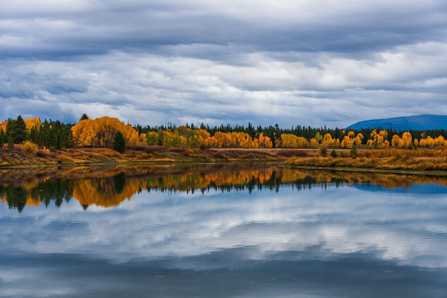 Autumn trees reflect in calm lake waters under cloudy sky.