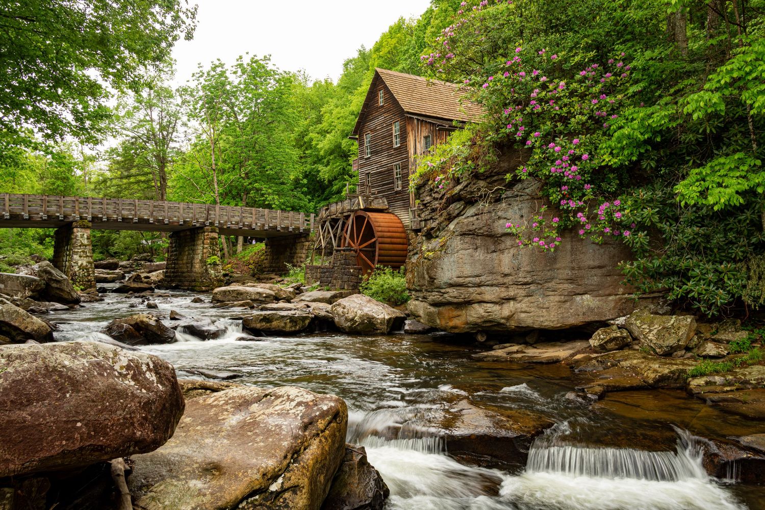 Scenic creek with cascading waterfalls flowing through rocky terrain surrounded by lush green forest.