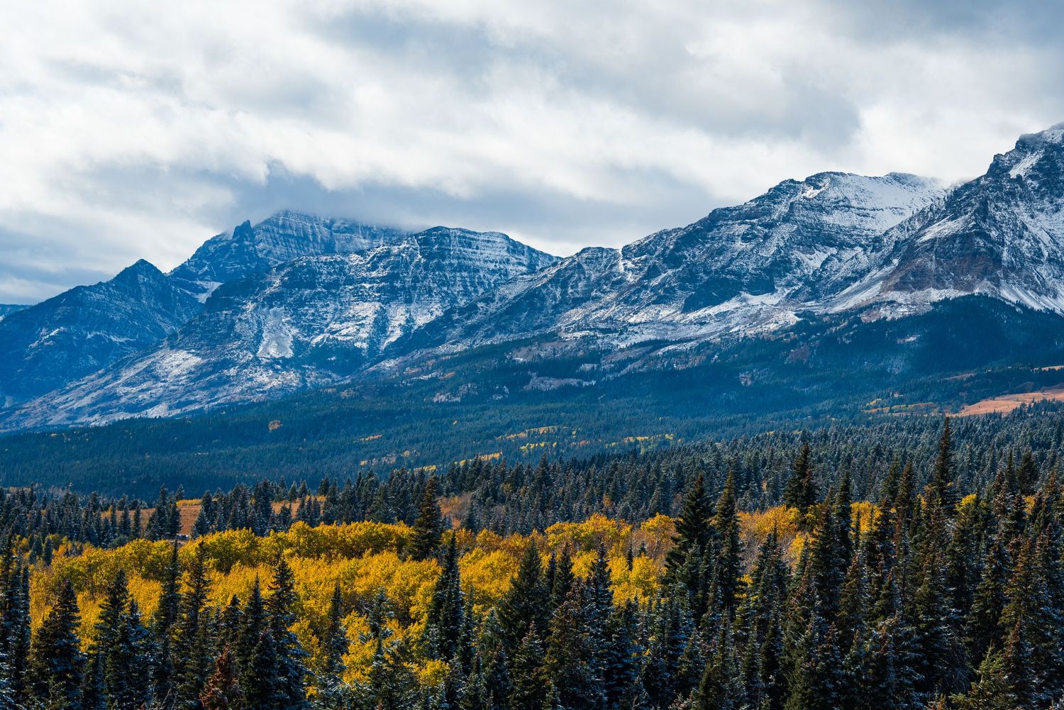 Mountain range with snow-dusted peaks rising above golden autumn forest.