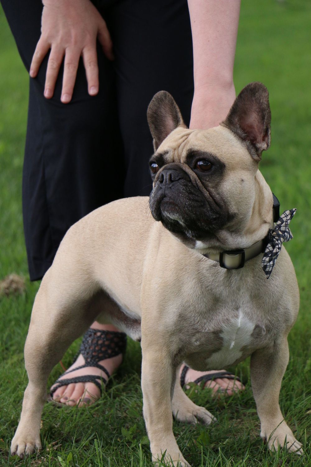 Doggies are family too, they grow up fast too! Catch them when they're just pups or in the family shoot...catch every member of the family.