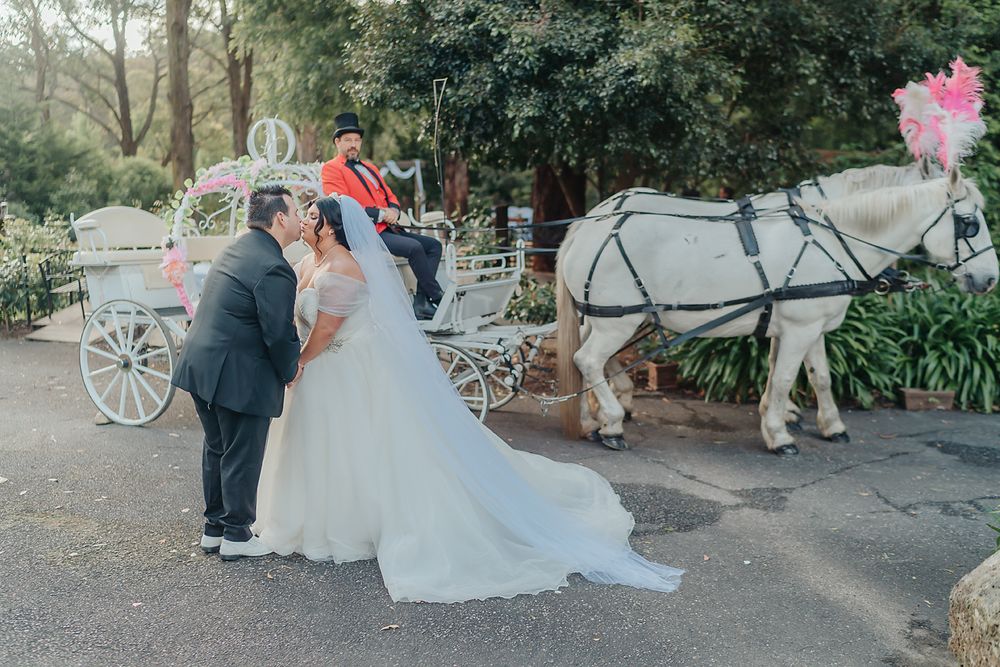 A romantic wedding scene with a beautiful white carriage drawn by a majestic white horse in a garden setting.