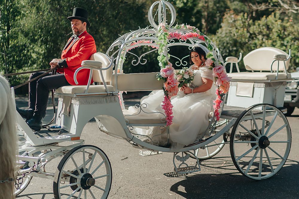 A white horse-drawn carriage decorated with flowers provides romantic rides through a scenic garden setting.