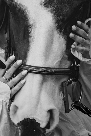 Hands on a horses face in black and white during an equine session near Seattle.