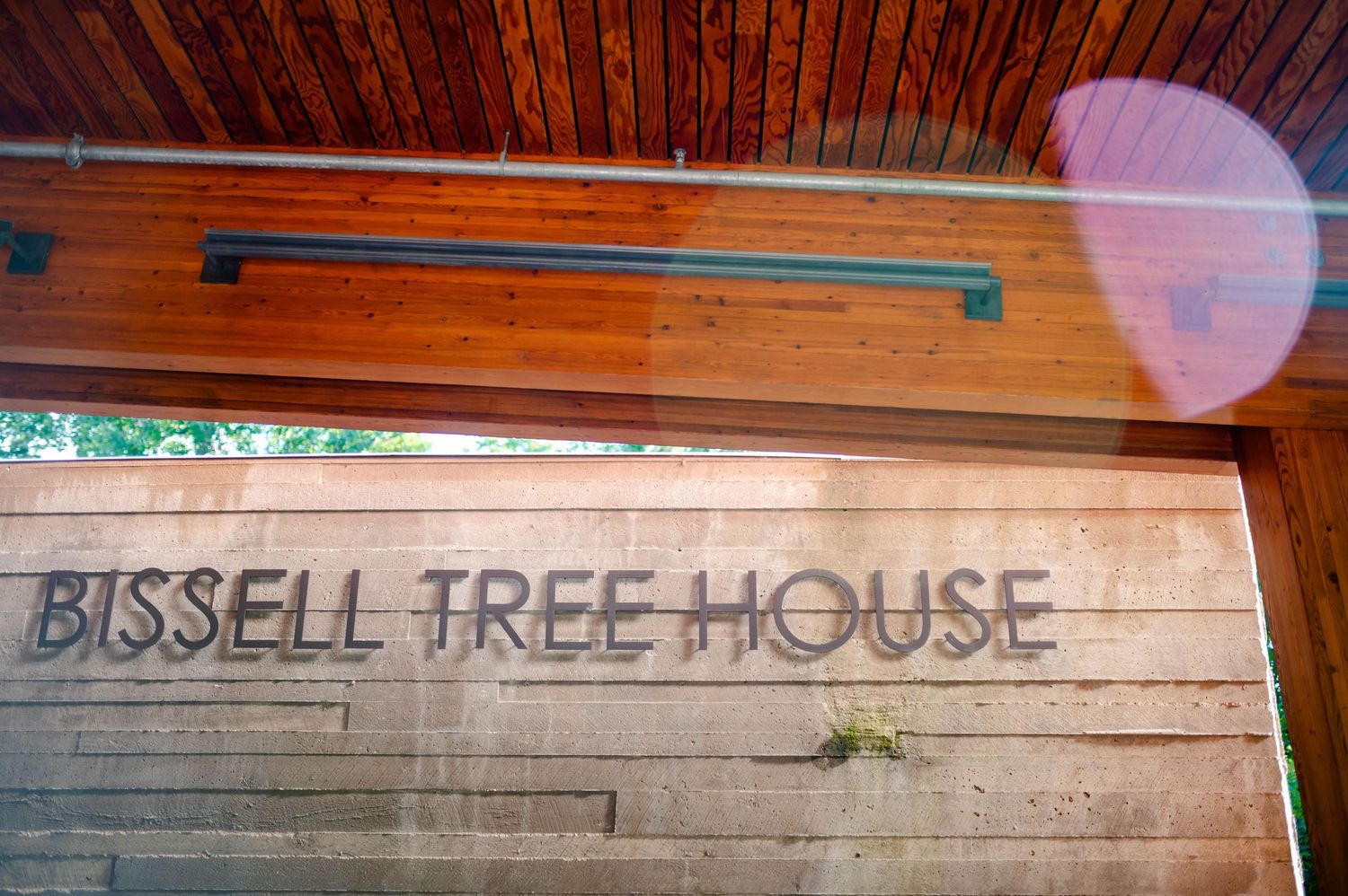 Wooden sign reading 'Bissell Tree House' under a rustic wooden ceiling with visible lens flare.