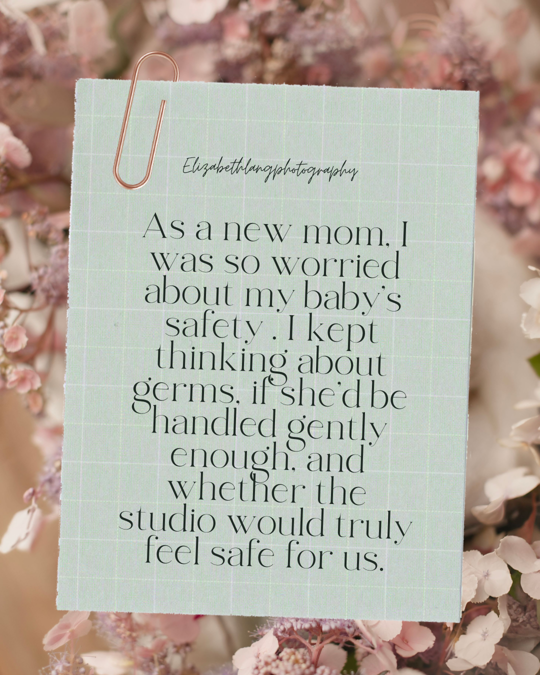 Soft pink cherry blossoms frame text cards with handwritten messages about safety and comfort in a photography studio setting.