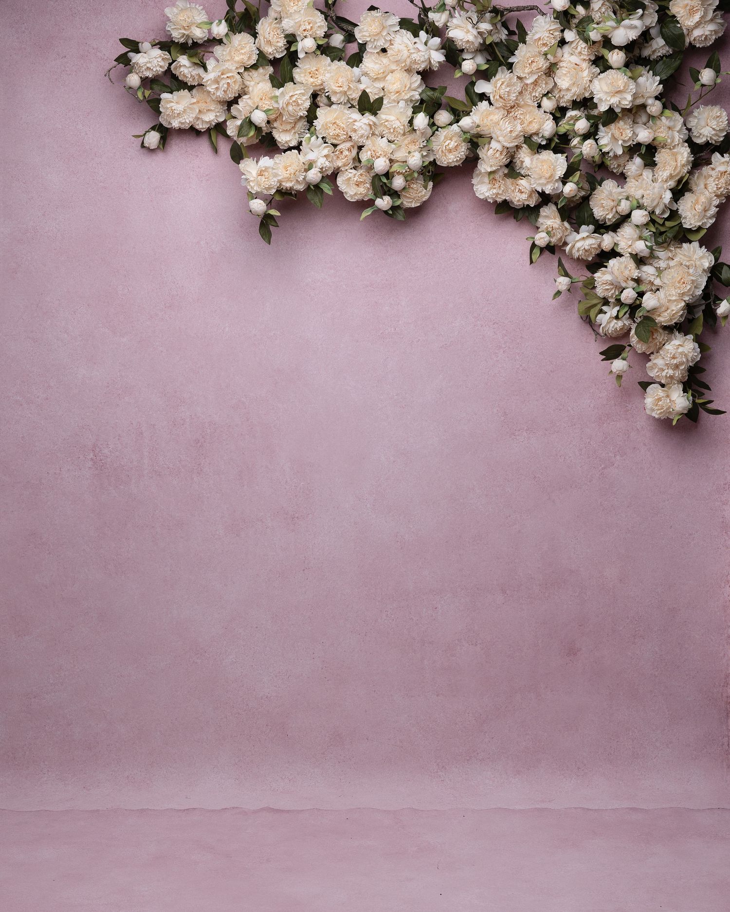 White roses and floral arrangements create an elegant border against a soft pink textured wall background.