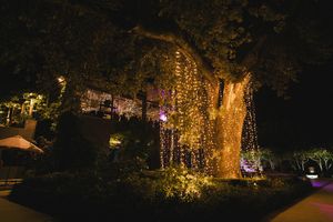 Al fresco wedding reception at Johannesdal