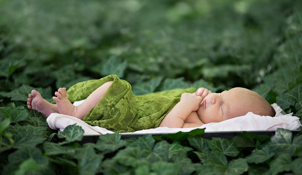 Sleeping newborn baby dressed in green lying on lush green ivy leaves outdoors.
