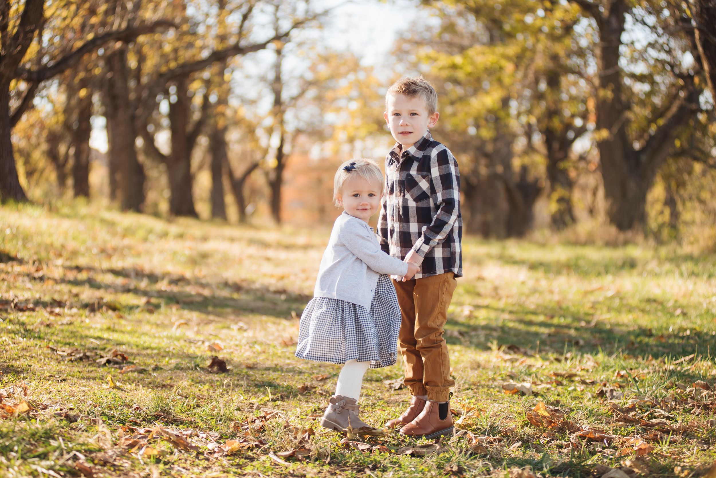 Two young siblings holding hands in autumn park, little girl in gray dress and boy in plaid shirt.